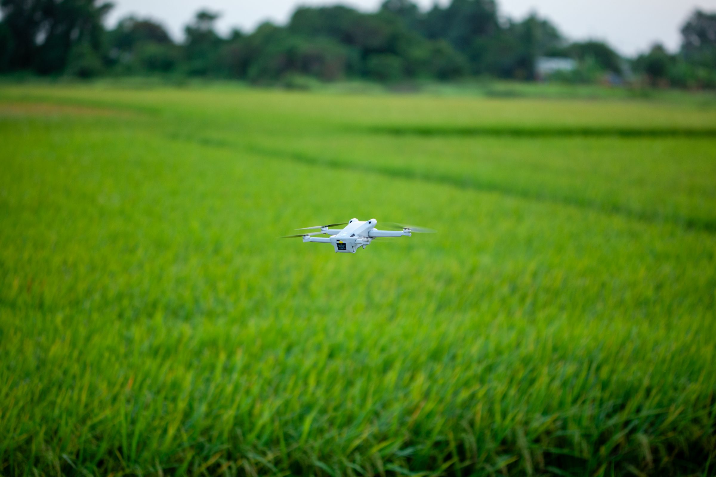 Tecnología aplicada al campo